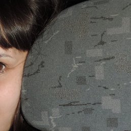 �����, ���������