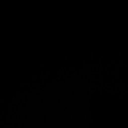 ���, ������, 54 ����