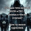 ���� ����, �����-��������� - ��������� 29 ��� 2026 � ������ ���� ����������