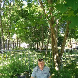 ���� �������, �������, 61 ��� - ��������� 23 ��� 2025