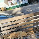 ���� �, ������ - ��������� 14 �������� 2025