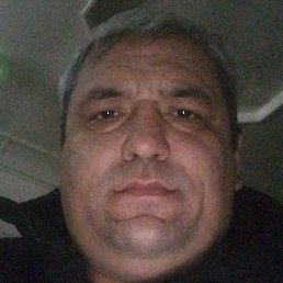 ������, �����, 41 ���