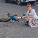 ���� �����, �������, 51 ��� - ��������� 22 ������ 2025 � ������ ���� ����������