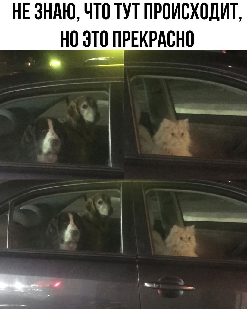    ! - 14  2025  12:26