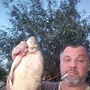 ���� �������, �����������, 48 ��� - ��������� 2 ������ 2026 � ������ ���� ����������