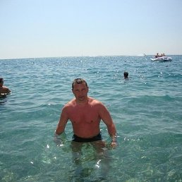 ���������, �����������, 41 ���