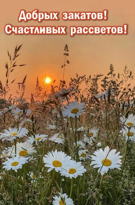 ���� - 20 ������� 2024 � 07:42