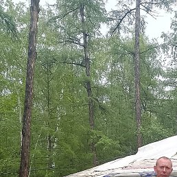 ��������, ����, 38 ���