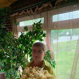 ���� �������, �����������, 62 ���� - ��������� 16 ������ 2023