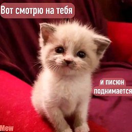 ������, ������, 31 ���