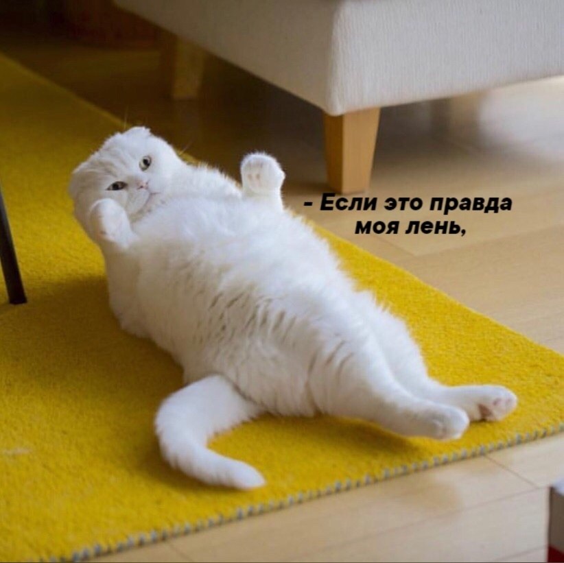       - 25  2025  11:20 - 2