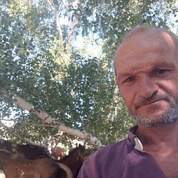 ������, 51 ���, ������