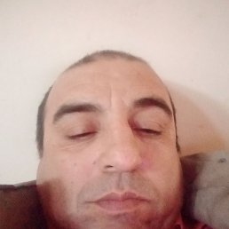 , 43, 