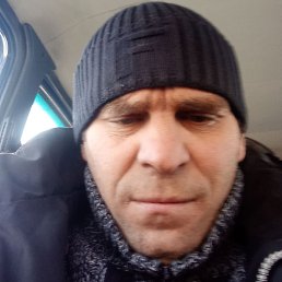 ���������, ������, 43 ����