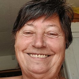 �����, ������, 73 ����