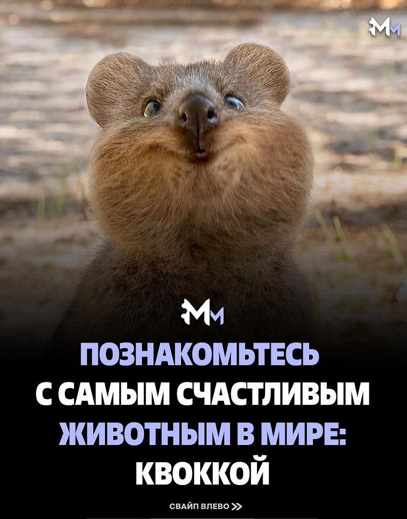 ��������������������
