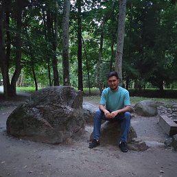 , 30, 