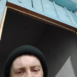 ����, 38 ���, ��������