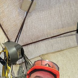 , 42, 