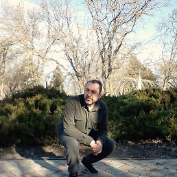 �������, ����, 54 ����