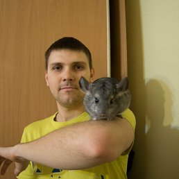 , 34 , 