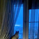  Svetlana, , 65  -  5  2025