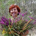 ���� ����, ��������� - ��������� 19 ����� 2026 � ������ ���� ����������