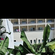 �����, 47 ���, �����������