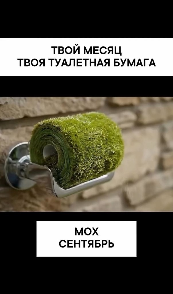 Выбор сложен - 2