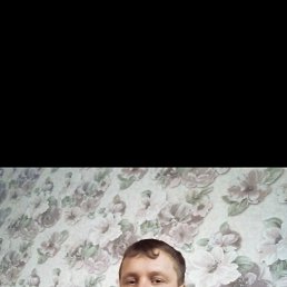 ��������� �����, 37 ���, �������