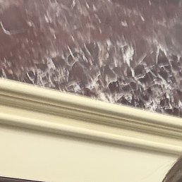 �������, ������, 44 ����