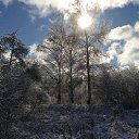 ���� ���, ������, 37 ��� - ��������� 10 ������ 2024 � ������ ������ ��������