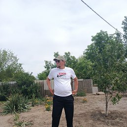 , 42, 
