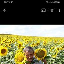 ���� �����, ������ ����� - ��������� 4 ������ 2024 � ������ ���� ����������