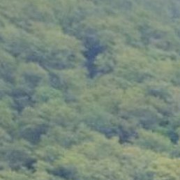 ���������, ����, 42 ����