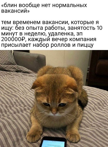�� ����� �������� �������� ��������. ��� ����� �������� � �� �����������, ��� �� �������� �������� ...