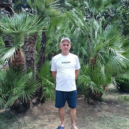 ������ �, ���������, 45 ���