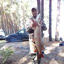���� ����, ������������, 50 ��� - ��������� 2 ������� 2026 � ������ ���� ����������