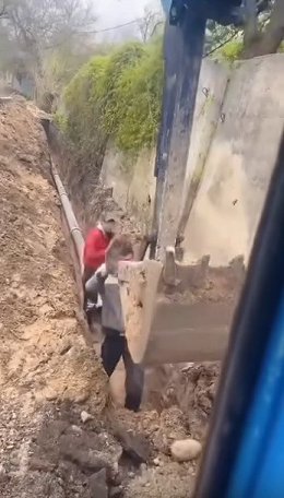�����������