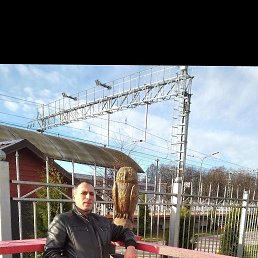 ���� ������, ������� ��������, 40 ��� - ��������� 6 ������� 2026