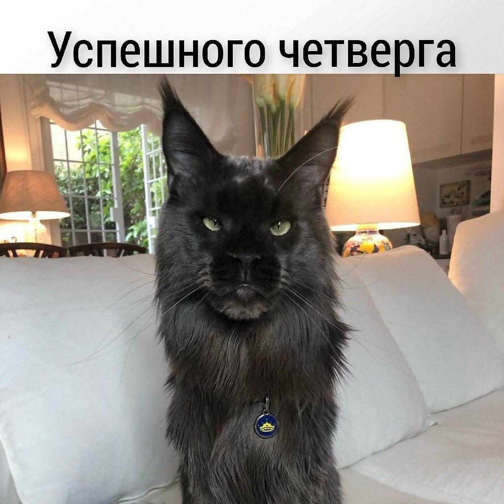       - 10  2025  11:13 - 4