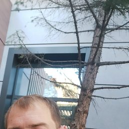 , 37, -