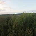 ���� ���������, ����, 41 ��� - ��������� 8 ������� 2025 � ������ ���� ����������