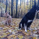 ���� �������, �������� - ��������� 21 ������ 2025 � ������ ������ ��������