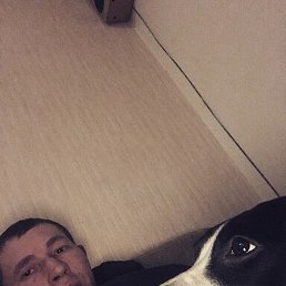 ����, �����, 36 ���