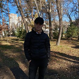 �����, 33 ����, �����������