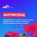  Natalifox,  -  29  2025    