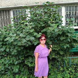 , 60, 