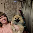 ���� �����, ���������, 53 ���� - ��������� 26 ����� 2026 � ������ ���� ����������