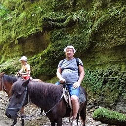 ���� �������, ���������, 49 ���